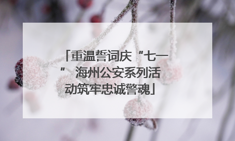 重温誓词庆“七一” 海州公安系列活动筑牢忠诚警魂