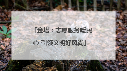 金塔：志愿服务暖民心 引领文明好风尚