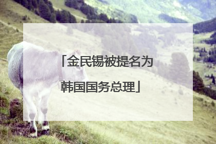 金民锡被提名为韩国国务总理