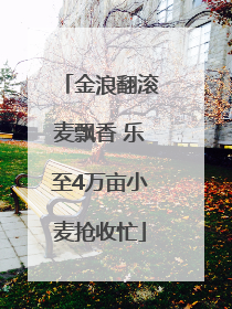 金浪翻滚麦飘香 乐至4万亩小麦抢收忙