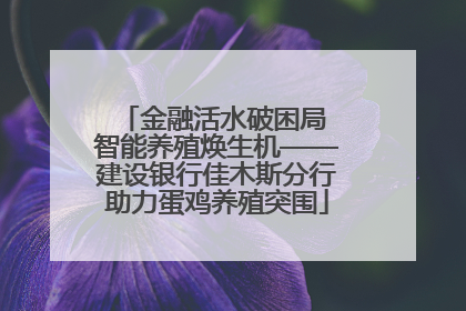 金融活水破困局 智能养殖焕生机——建设银行佳木斯分行助力蛋鸡养殖突围