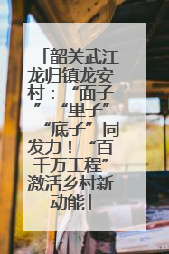 韶关武江龙归镇龙安村：“面子”“里子”“底子”同发力！“百千万工程”激活乡村新动能