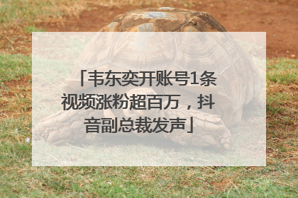 韦东奕开账号1条视频涨粉超百万，抖音副总裁发声