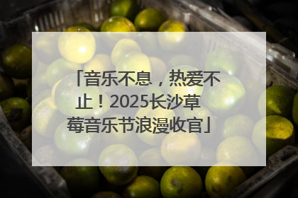 音乐不息，热爱不止！2025长沙草莓音乐节浪漫收官