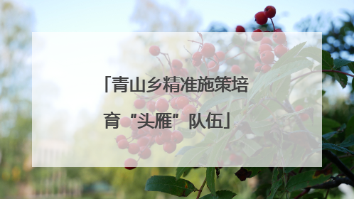 青山乡精准施策培育“头雁”队伍