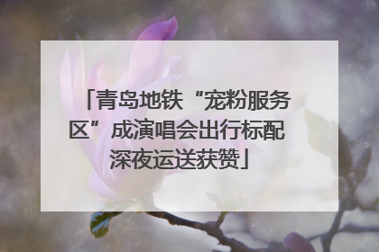 青岛地铁“宠粉服务区”成演唱会出行标配 深夜运送获赞
