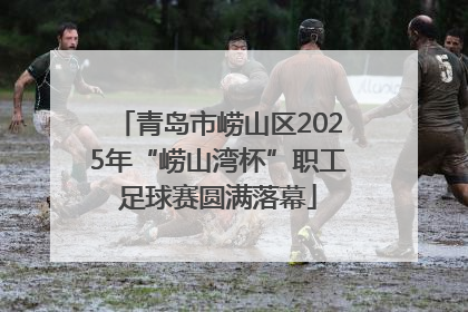 青岛市崂山区2025年“崂山湾杯”职工足球赛圆满落幕