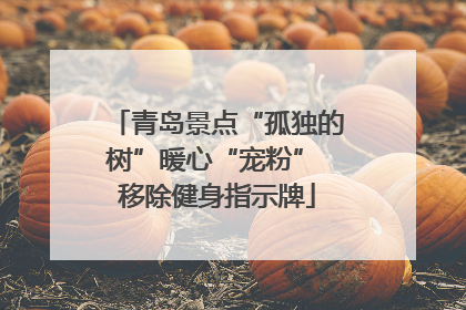 青岛景点“孤独的树”暖心“宠粉” 移除健身指示牌