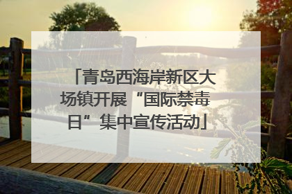 青岛西海岸新区大场镇开展“国际禁毒日”集中宣传活动