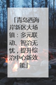 青岛西海岸新区大场镇：多元联动、智治无忧，提升综治中心新效能