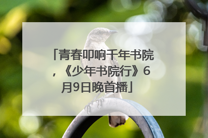 青春叩响千年书院，《少年书院行》6月9日晚首播