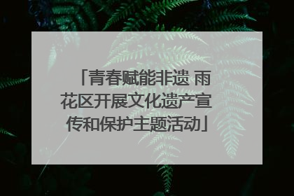 青春赋能非遗 雨花区开展文化遗产宣传和保护主题活动