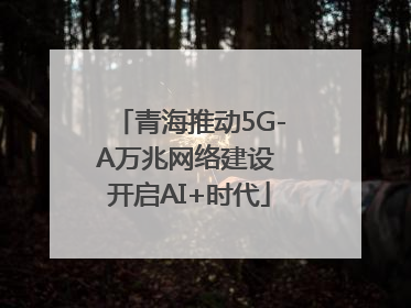 青海推动5G-A万兆网络建设 开启AI+时代
