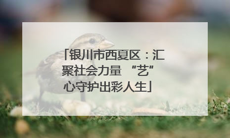 银川市西夏区：汇聚社会力量 “艺”心守护出彩人生