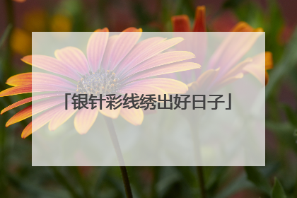 银针彩线绣出好日子