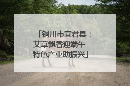 铜川市宜君县：艾草飘香迎端午 特色产业助振兴