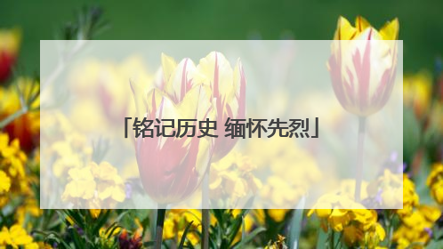 铭记历史 缅怀先烈