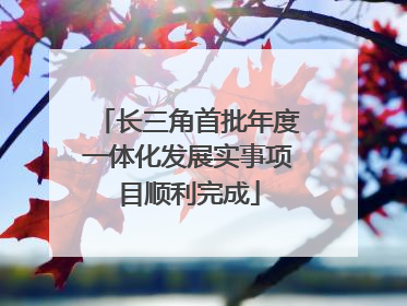长三角首批年度一体化发展实事项目顺利完成