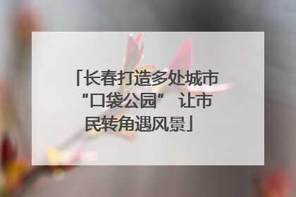 长春打造多处城市“口袋公园” 让市民转角遇风景