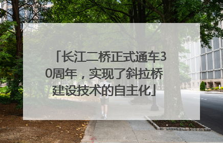 长江二桥正式通车30周年，实现了斜拉桥建设技术的自主化