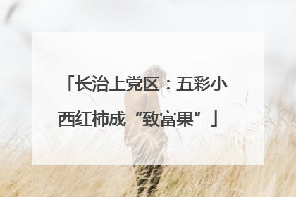 长治上党区：五彩小西红柿成“致富果”