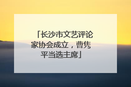 长沙市文艺评论家协会成立，曹隽平当选主席