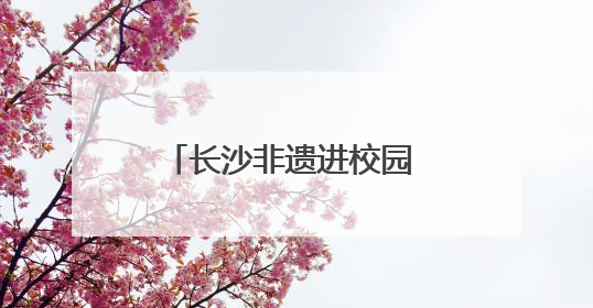 长沙非遗进校园 传统文化润童心