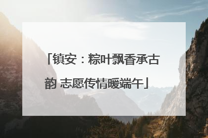 镇安：粽叶飘香承古韵 志愿传情暖端午