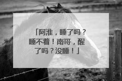 阿淮，睡了吗？睡不着！南哥，醒了吗？没睡！
