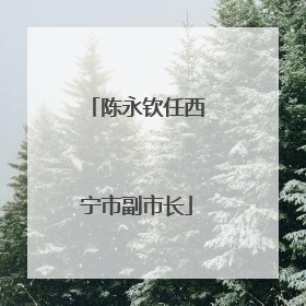 陈永钦任西宁市副市长