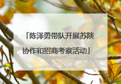 陈泽勇带队开展苏陕协作和招商考察活动