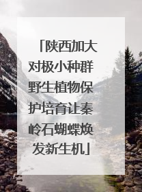 陕西加大对极小种群野生植物保护培育让秦岭石蝴蝶焕发新生机
