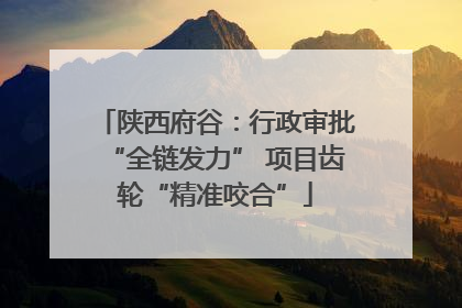 陕西府谷：行政审批“全链发力” 项目齿轮“精准咬合”