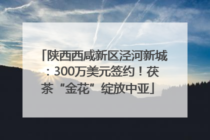 陕西西咸新区泾河新城：300万美元签约！茯茶“金花”绽放中亚