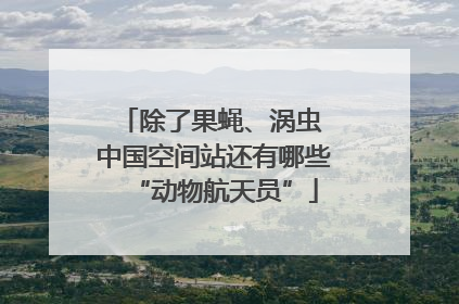 除了果蝇、涡虫 中国空间站还有哪些“动物航天员”