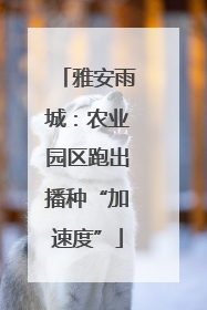 雅安雨城：农业园区跑出播种“加速度”