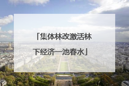 集体林改激活林下经济一池春水
