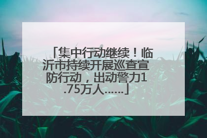 集中行动继续！临沂市持续开展巡查宣防行动，出动警力1.75万人……