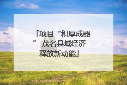 项目“积厚成器” 茂名县域经济释放新动能