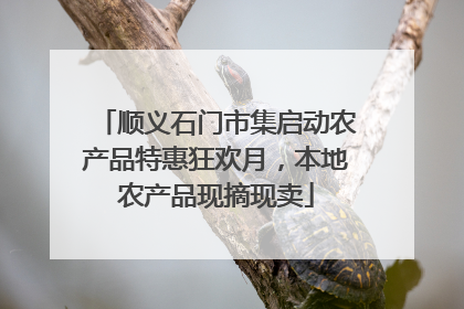 顺义石门市集启动农产品特惠狂欢月，本地农产品现摘现卖