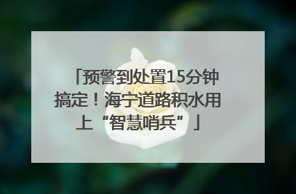预警到处置15分钟搞定！海宁道路积水用上“智慧哨兵”