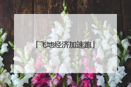 飞地经济加速跑