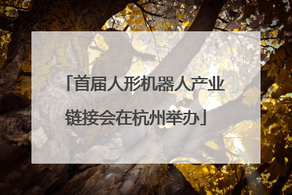 首届人形机器人产业链接会在杭州举办