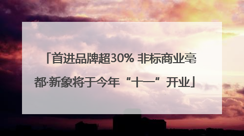 首进品牌超30% 非标商业亳都·新象将于今年“十一”开业