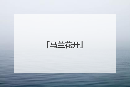 马兰花开
