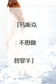 马斯克：不想做替罪羊