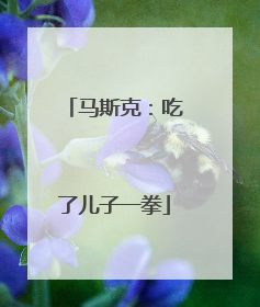 马斯克：吃了儿子一拳
