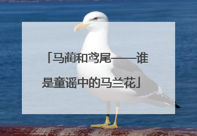 马蔺和鸢尾——谁是童谣中的马兰花