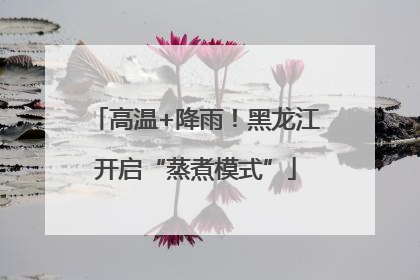 高温+降雨！黑龙江开启“蒸煮模式”