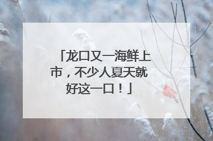 龙口又一海鲜上市，不少人夏天就好这一口！